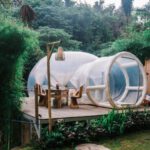 Retreat - Exterior of cute bubble tent in tropical garden