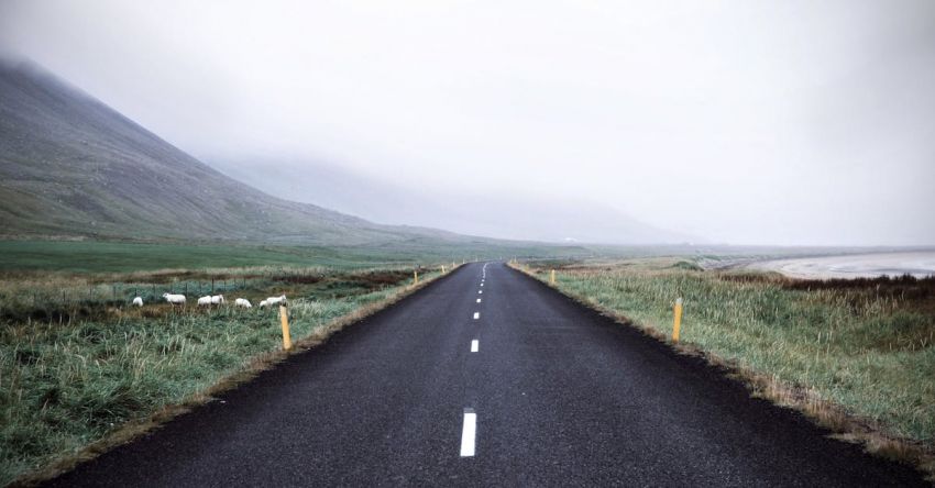 Trip - Black Asphalt Road Surrounded by Green Grass