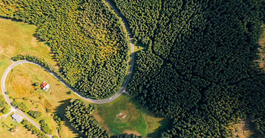 Trips - Aerial Photography of Green Trees